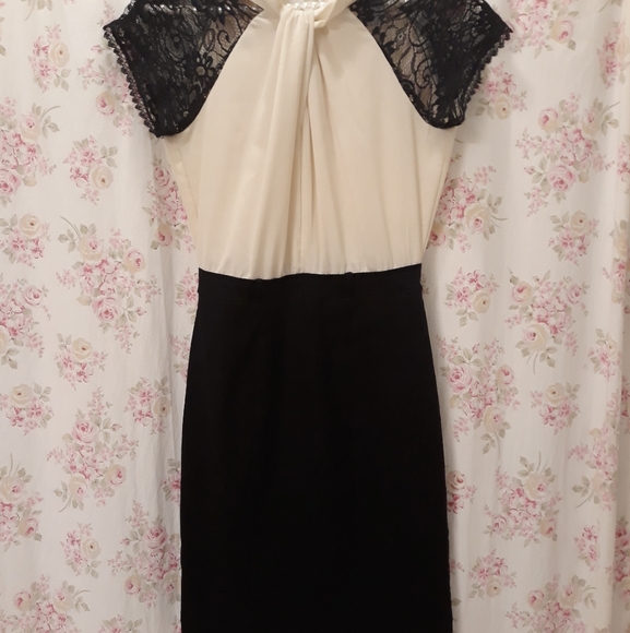 Bisou Bisou Dresses & Skirts - Bisou Bisou Vintage Style Lace Dress